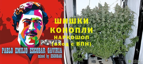 не бодяженный Абаза