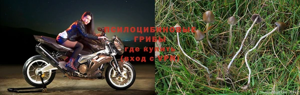 спиды Абдулино