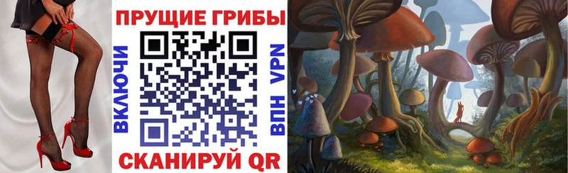 Псилоцибиновые грибы GOLDEN TEACHER  Красный Сулин 